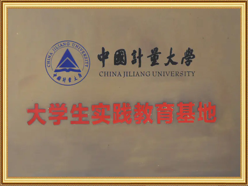 Practical Education Foundation for University Students