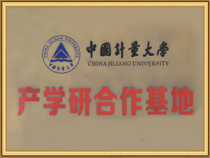 Practical Education Foundation for University Students